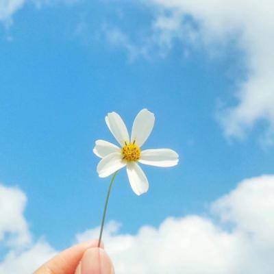 威尼斯会员登录截图